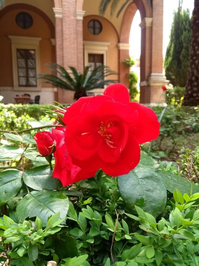 Casa S. Giuseppe Di Cluny Bed and Breakfast Rome Buitenkant foto